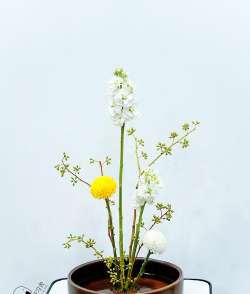 剑山插花怎么插