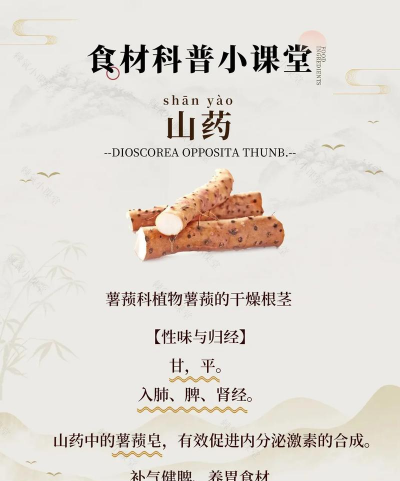 种植山药是什么科