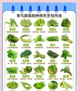 清菜有哪些品种