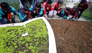 家庭养花用生根粉