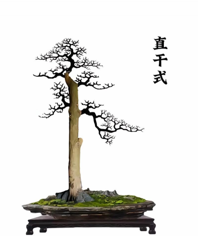 盆景造型以哪些型为主