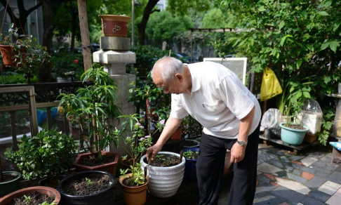 家庭养花用生根粉