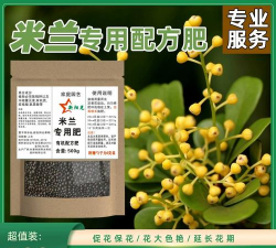 米兰花放什么肥料
