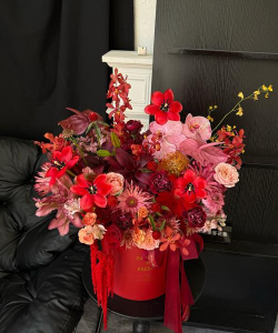 家中摆什么喜庆花