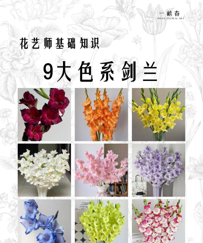 唐菖蒲的色彩有哪些