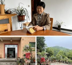 家庭养花用生根粉