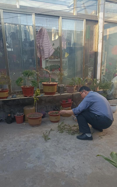 家庭养花用生根粉