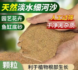 天然河沙养花