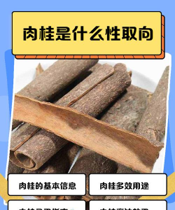肉桂中国叫什么