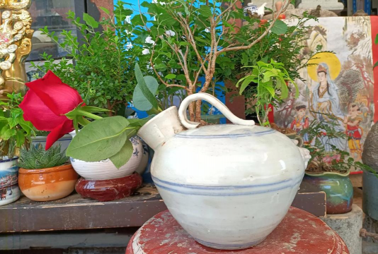 家庭养花用生根粉