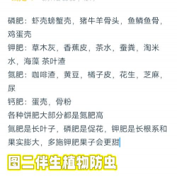 家庭养花用生根粉