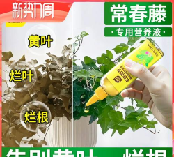 家庭养花用生根粉