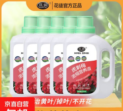 家庭养花用生根粉