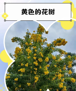 树的花有哪些颜色