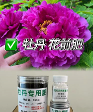 牡丹施什么肥合适