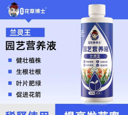 家庭养花用生根粉