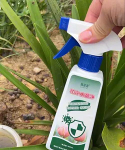 家庭养花用生根粉