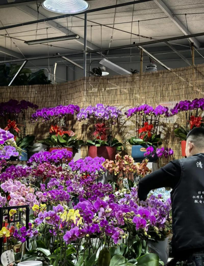 山东有哪些花卉市场