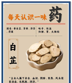 白芷的用处是什么