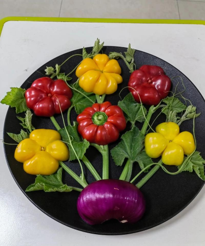 花类水果蔬菜有哪些