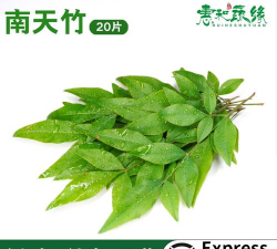 天竹叶是什么药材