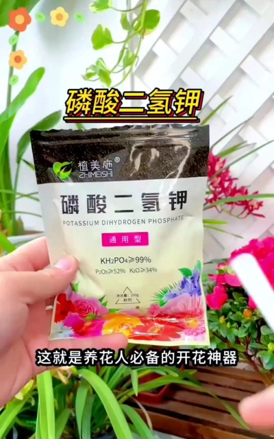 家庭养花用生根粉