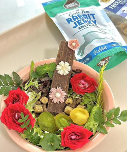 家庭养花用生根粉