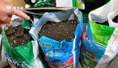 家庭养花用生根粉