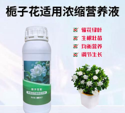 家庭养花用生根粉