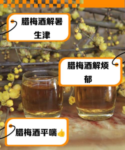 腊梅花用什么泡