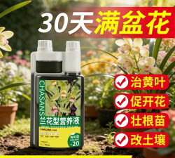 家庭养花用生根粉