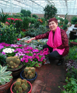 家庭养花用生根粉