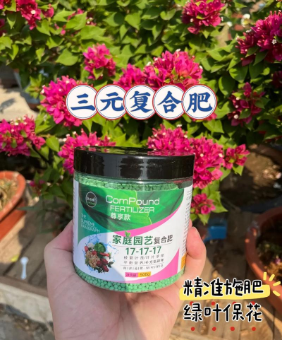 家庭养花用生根粉