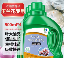 黄玉兰上什么肥料