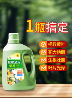 家庭养花用生根粉