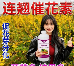 家庭养花用生根粉