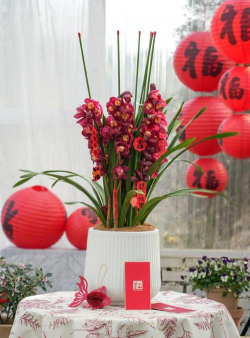 家庭养花用生根粉