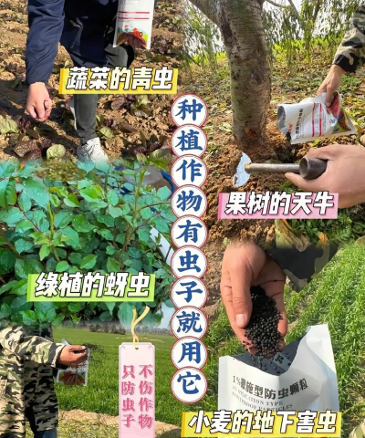 家庭养花用生根粉