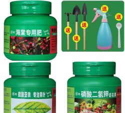 家庭养花用生根粉