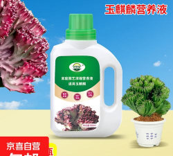 家庭养花用生根粉