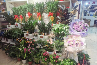 家庭养花用生根粉