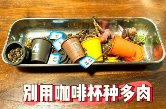 家庭养花用生根粉