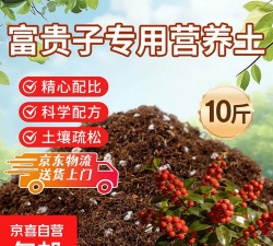 家庭养花用生根粉