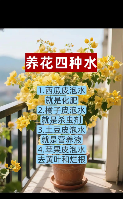 家庭养花用生根粉