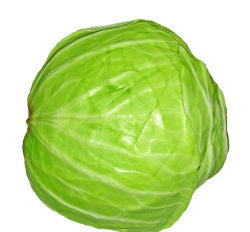 像球的蔬菜有哪些