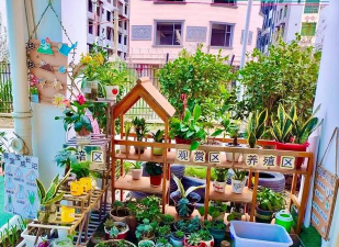 家庭养花用生根粉