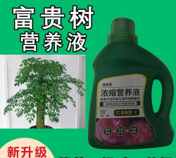 家庭养花用生根粉