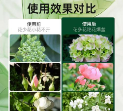 家庭养花用生根粉