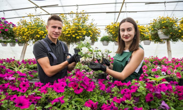 家庭养花用生根粉