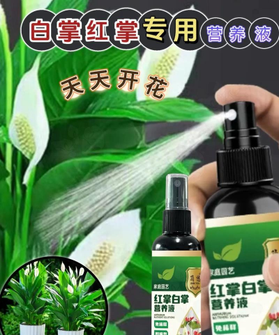 家庭养花用生根粉